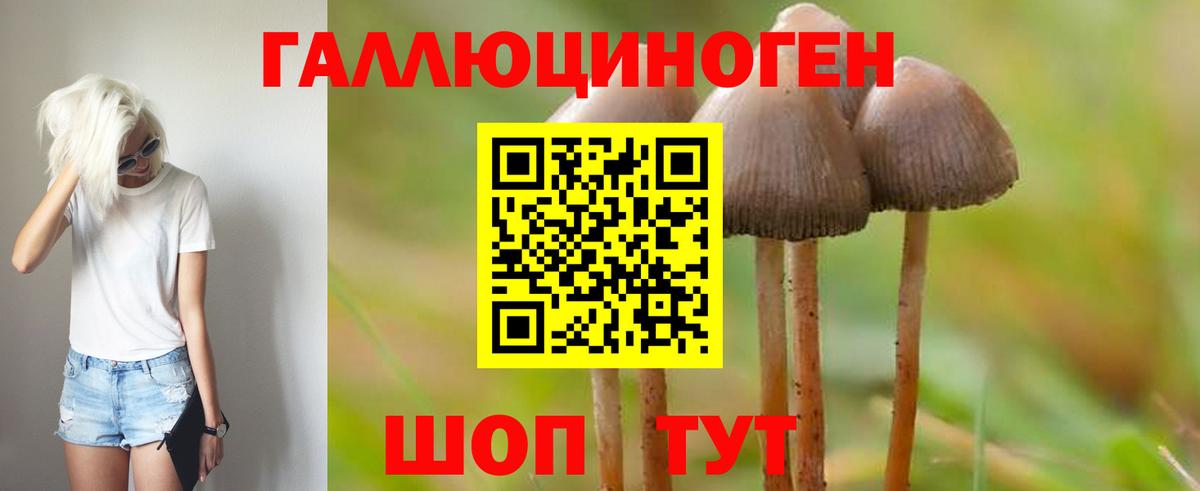 Гусев  Псилоцибиновые грибы мухоморы  Вход с VPN 